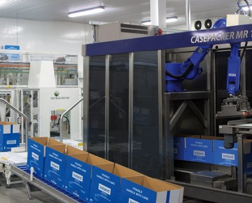 Automated packaging machinery in operation.