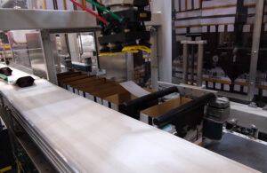 Fully Automatic Case Packers